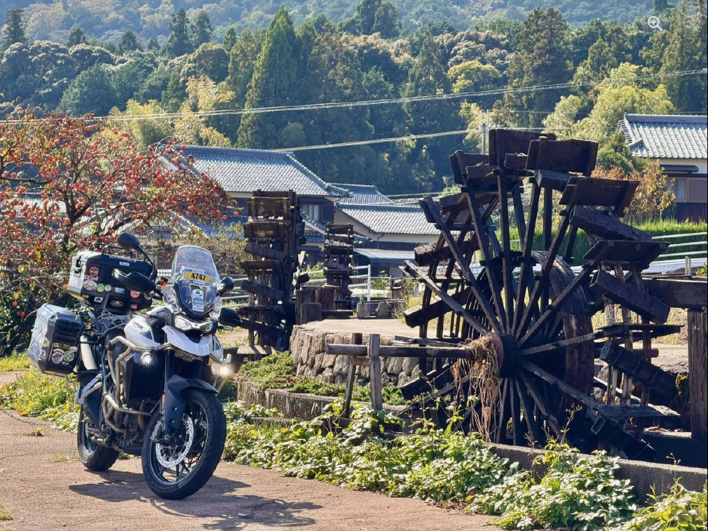 「最高!写真」賞ゼッケン003